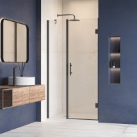 Душевая дверь RGW HO-012B (Прозрачное, 1200)