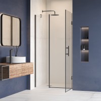 Душевая дверь RGW HO-012B (Прозрачное, 1200)