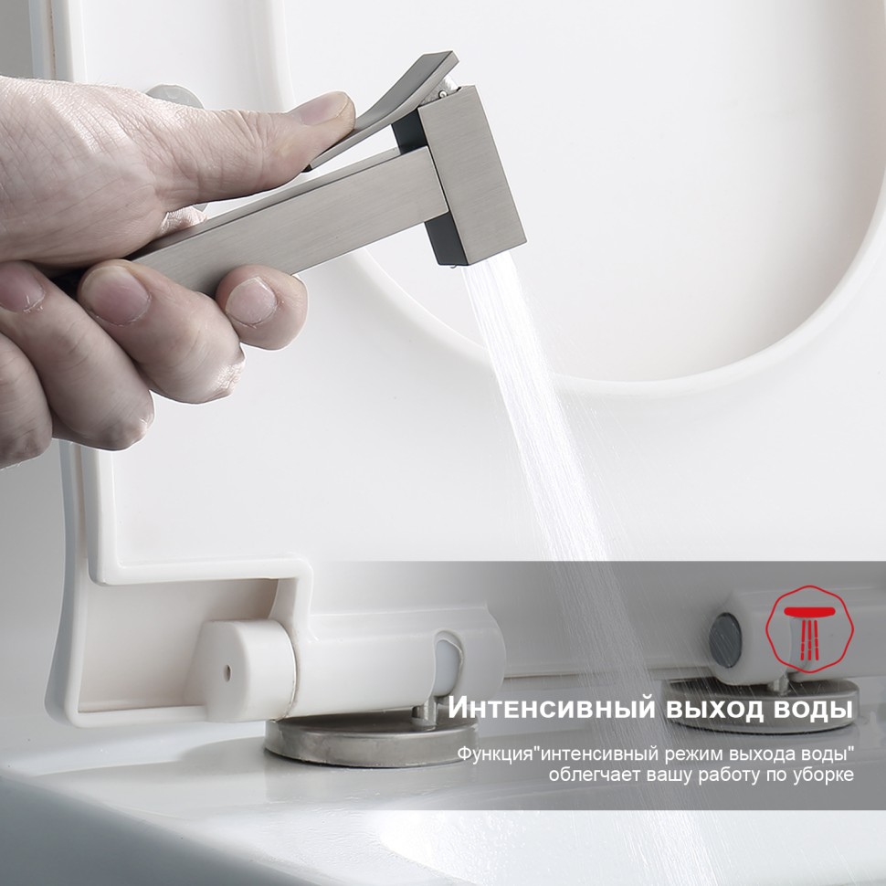 Смеситель Raglo настенный с гигиеническим душем графит