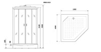 Душевая кабина Niagara Premium NG-6902-01D BLACK (100х100х220) низкий поддон(16 см),черный,стекло тонированное,4 места