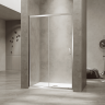 Душевая дверь RGW PA-114 (Прозрачное, 1300, 4657832444494)