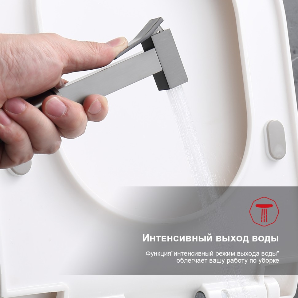 Смеситель Raglo встраиваемый с гигиеническим душем графит