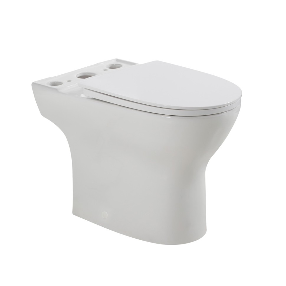 Чаша напольного унитаза c сиденьем BelBagno LOUNGE BB045CPR/SC