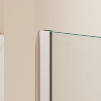 Душевая перегородка RGW WA-054 (WA-010 + Z-072) (Прозрачное, 1200)