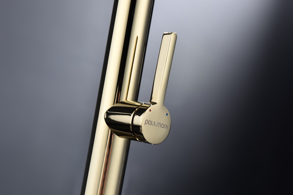 Смеситель для кухни Leader, золото, Le214101-G, Starke-Paulmark