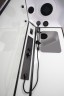 Душевая кабина Niagara Premium NG-6902-01GD BLACK (100х100х220) низкий поддон(16 см),черный,стекло тонированное,4 места