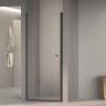 Душевая дверь Dolphin TN-03B (Прозрачное, 900)