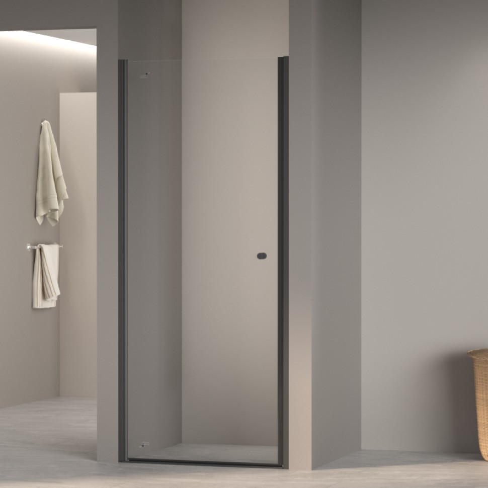 Душевая дверь Dolphin TN-03B (Прозрачное, 900)