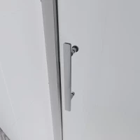 Душевая дверь Veconi Evo 100 CH, 1100x1950, хром, стекло прозрачное