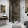 Душевой уголок Niagara Eco NG-018-14QT (100х80х195) низкий поддон(13см),черный,стекло тонированное,2 места