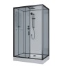 Душевая кабина Niagara Premium NG-6912-01QL BLACK (120х80х210) низкий поддон(16 см),черный,стекло тонированное,4 места