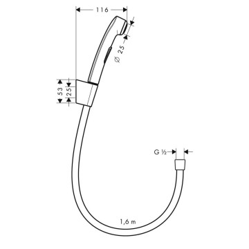 Гигиенический душ с держателем и шлангом 160 см Hansgrohe 32128000