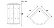 Душевая кабина Niagara Ultra NG-1910-01R (120х80х220) высокий поддон(48см),черный,стекло тонированное,4 места