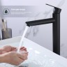 Смеситель Splenka высокий для умывальника S223.15.06 Черный
