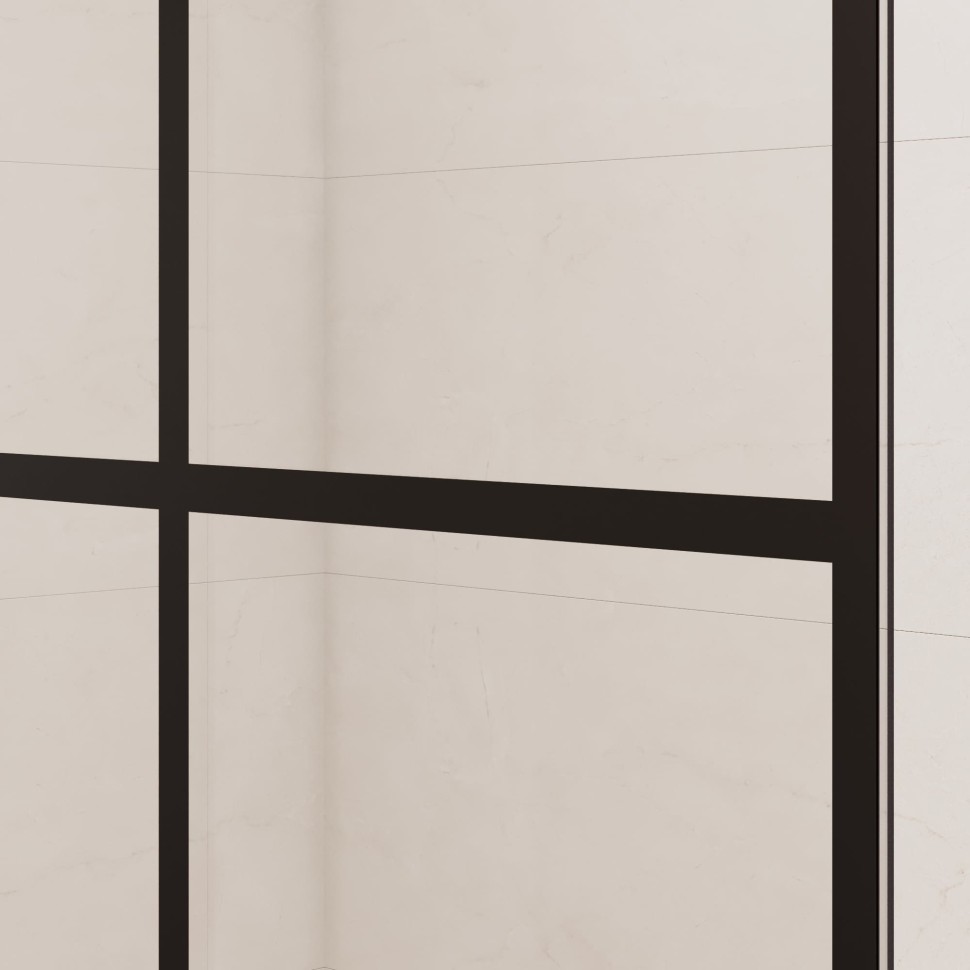 Душевая перегородка RGW WA-011B (1000)